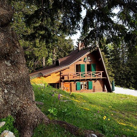 צרקליה נה גורניסקם Chalet Alpinka מראה חיצוני תמונה