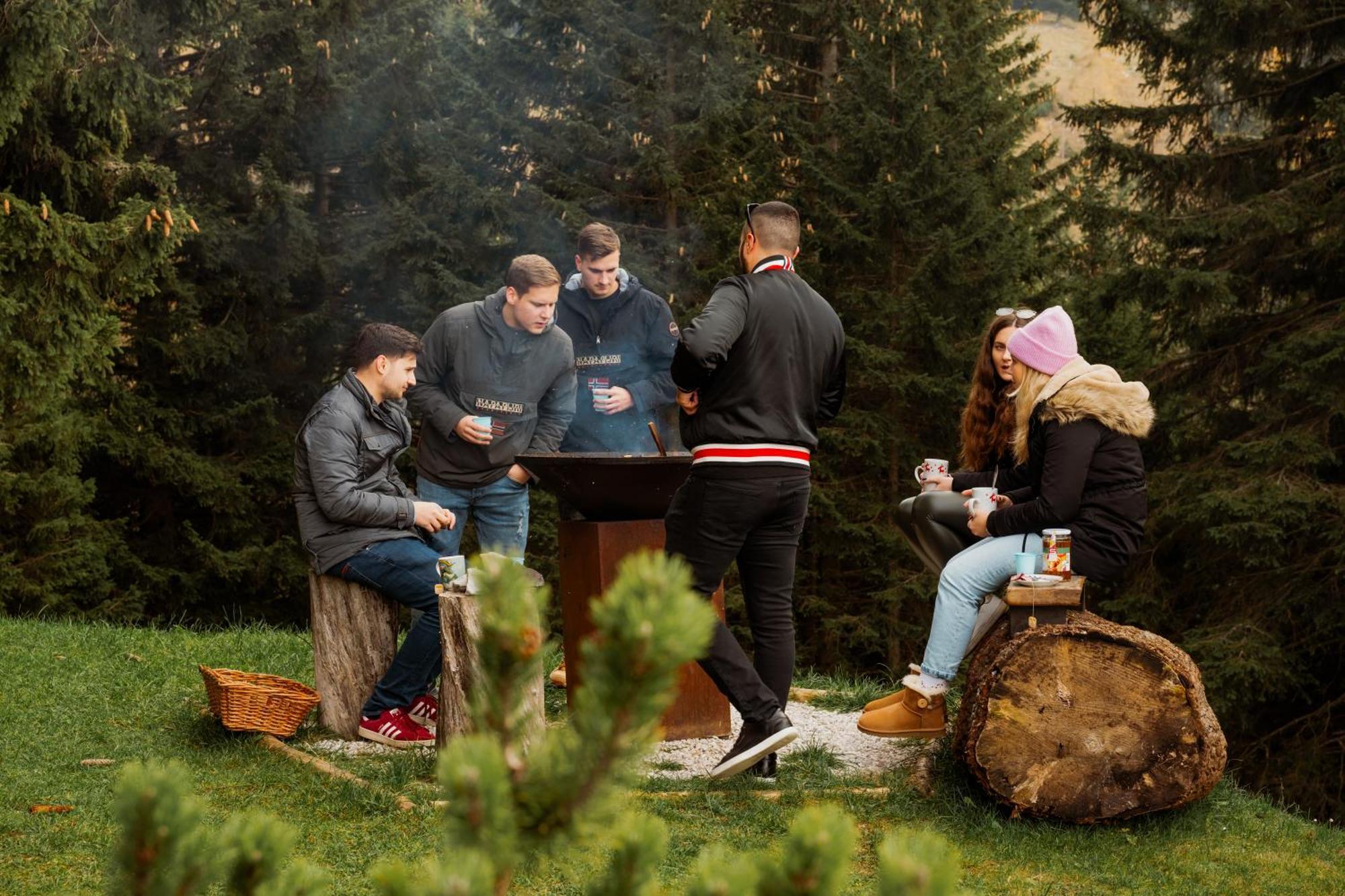 צרקליה נה גורניסקם Chalet Alpinka מראה חיצוני תמונה