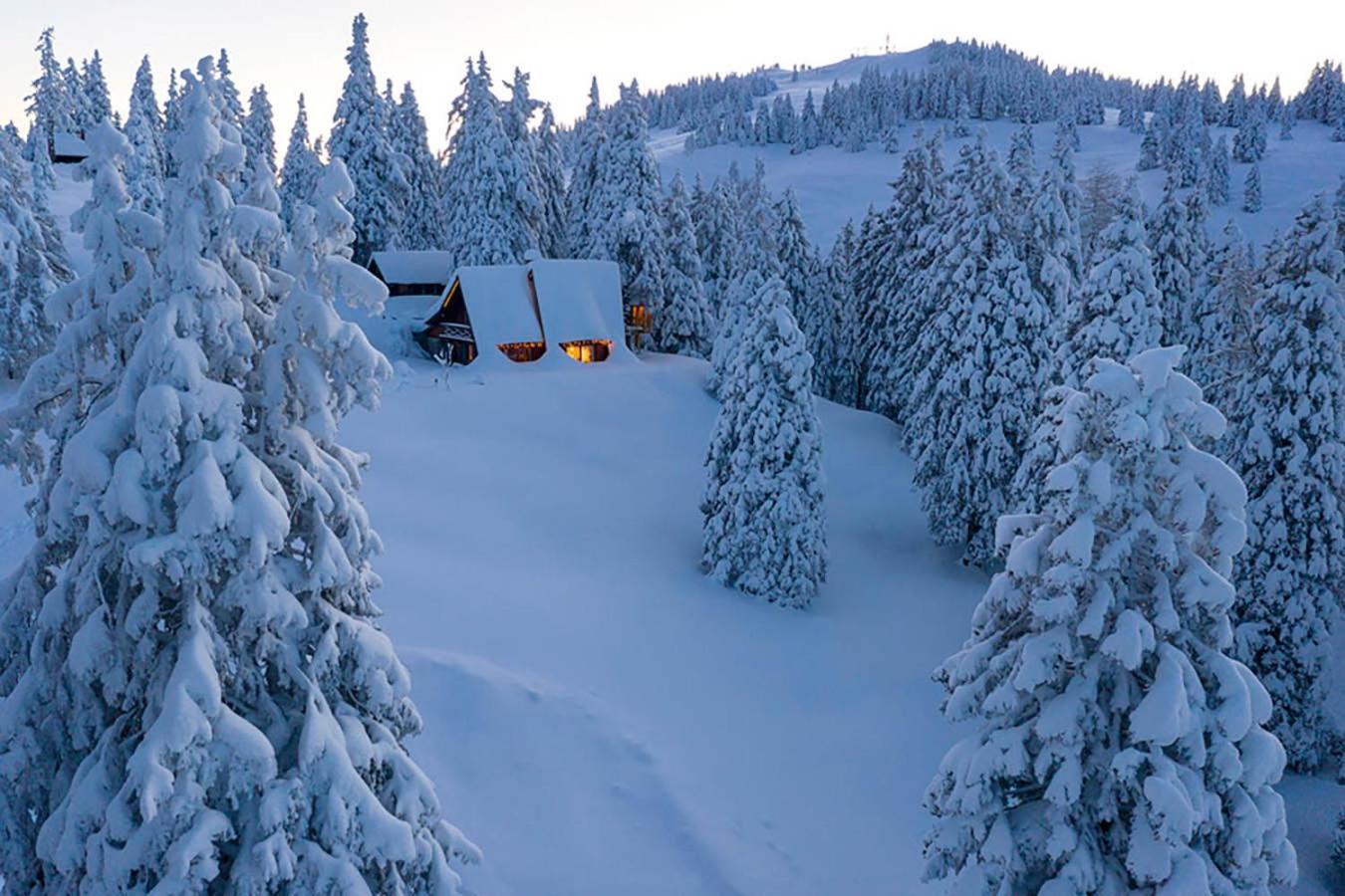 צרקליה נה גורניסקם Chalet Alpinka מראה חיצוני תמונה
