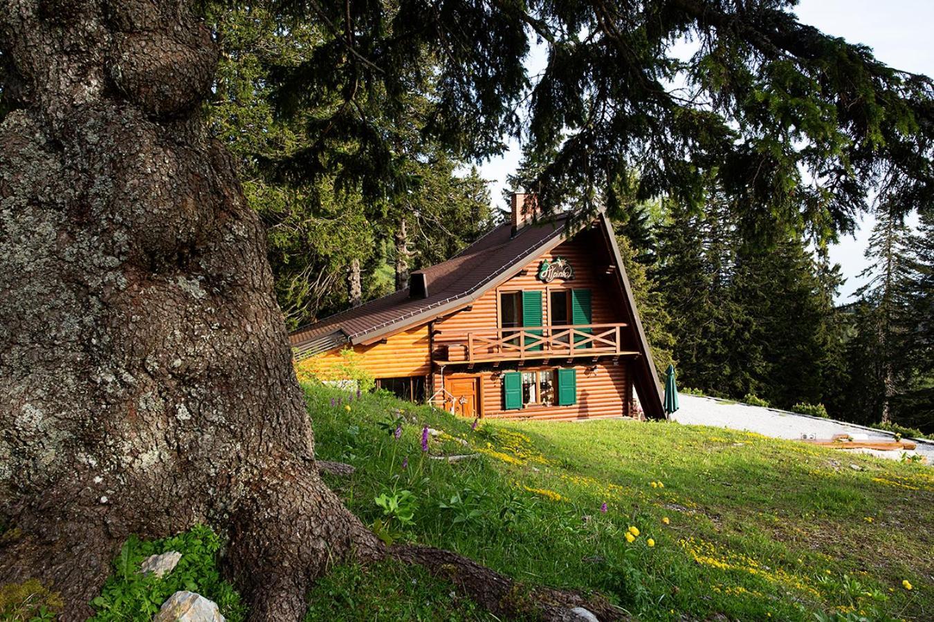 צרקליה נה גורניסקם Chalet Alpinka מראה חיצוני תמונה